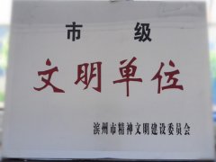 喜訊！公司榮獲“市級(jí)文明單位”稱號(hào)