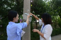 創(chuàng)建全國文明城市 華紡人在行動(dòng)